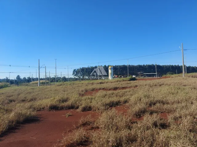 Imagem 4: TERRENO VILLE BODANESE