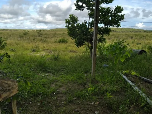 Imagem: A fazenda possui 1.000m² de Área e está localizado em