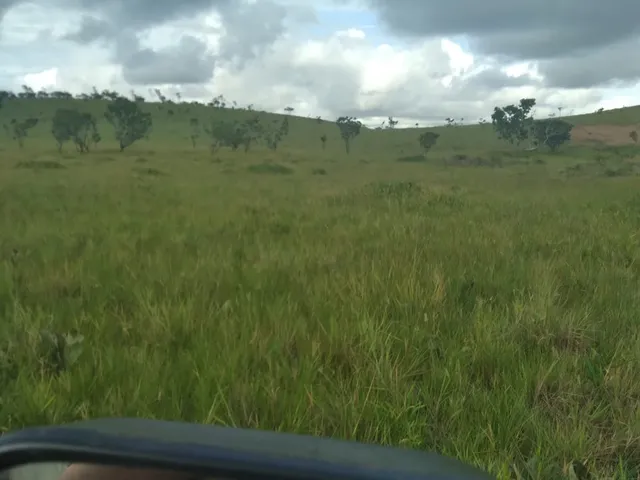 Imagem 7: FAZENDA - Macapá. 1.000m² de Área