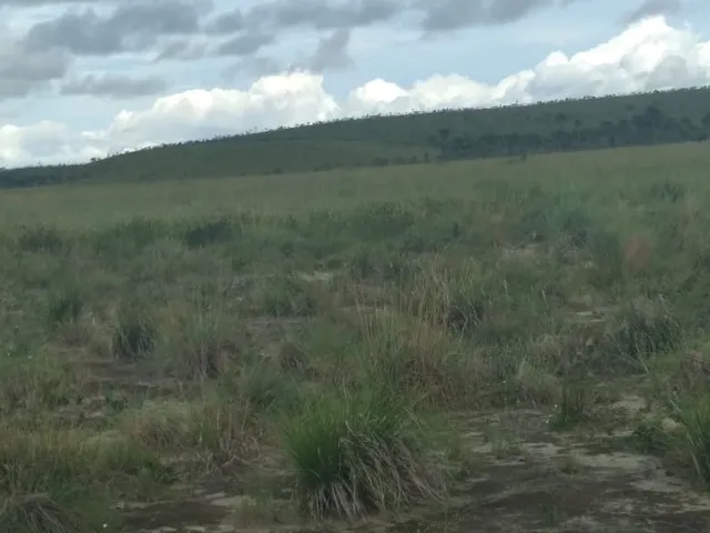 Imagem 5: FAZENDA - Macapá. 1.000m² de Área