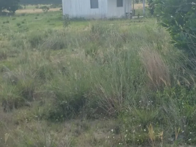 Imagem 2: FAZENDA - Macapá. 1.000m² de Área