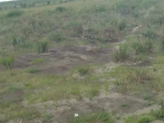 Imagem 11: FAZENDA - Macapá. 1.000m² de Área
