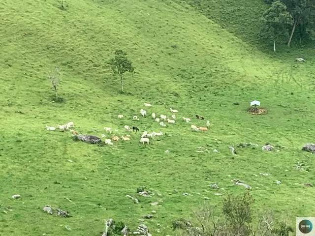 Imagem 14: Fazenda em Brazópolis