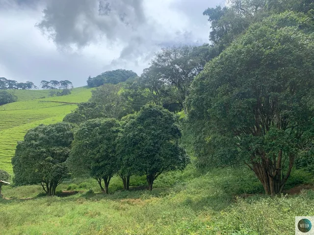 Imagem 12: Fazenda em Brazópolis