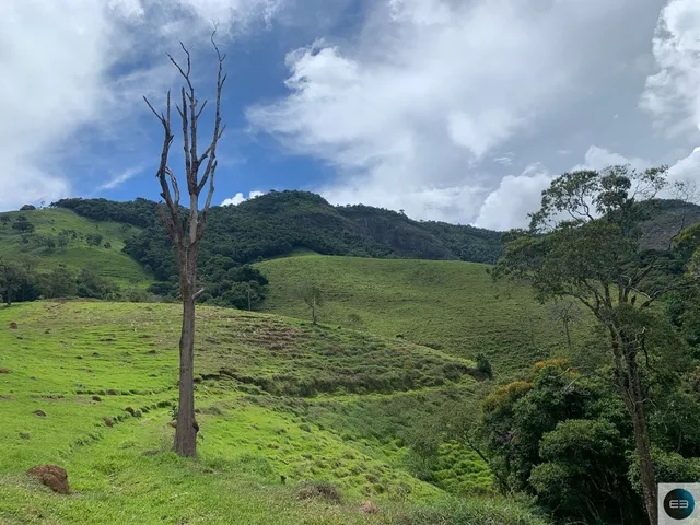 Imagem 2: Fazenda em Brazópolis