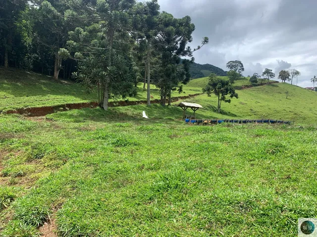 Imagem 9: Fazenda em Brazópolis