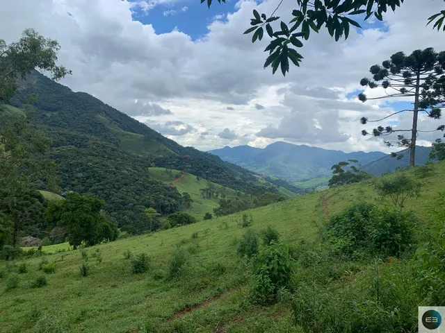 Imagem 10: Fazenda em Brazópolis