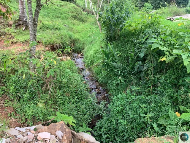 Imagem 7: Fazenda em Brazópolis