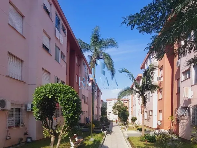 Imagem 2: Bairro Nonoai Apartamento com 3 dormitórios