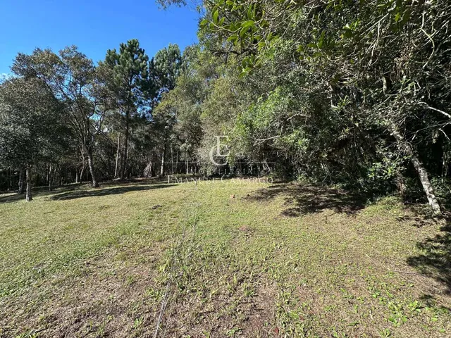 Imagem 9: Área à venda em Piraquara, Vila Fuck, 3076m²