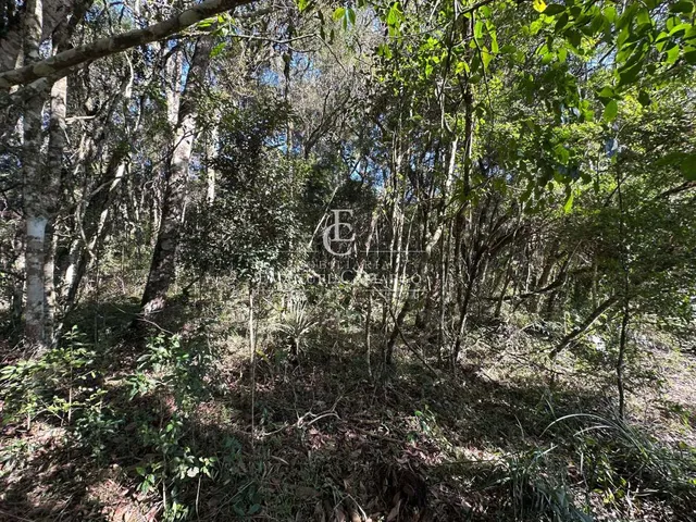 Imagem 8: Área à venda em Piraquara, Vila Fuck, 3076m²