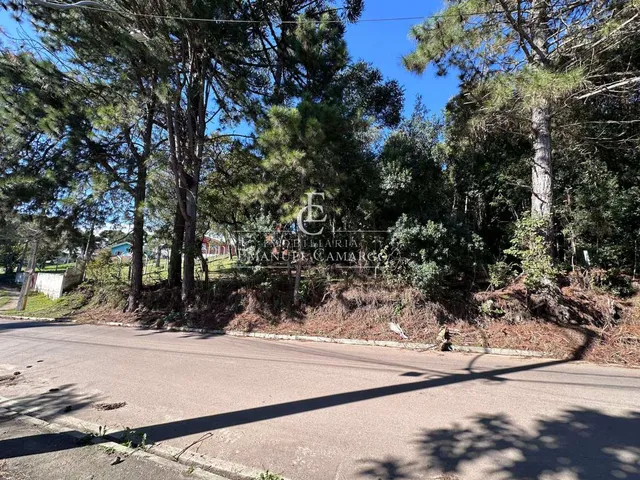 Imagem 2: Área à venda em Piraquara, Vila Fuck, 3076m²