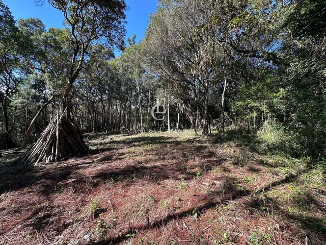 Imagem 7: Área à venda em Piraquara, Vila Fuck, 3076m²