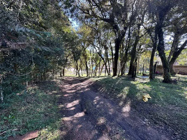 Imagem 3: Área à venda em Piraquara, Vila Fuck, 3076m²