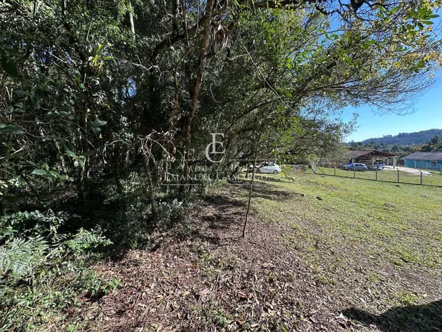 Imagem 5: Área à venda em Piraquara, Vila Fuck, 3076m²