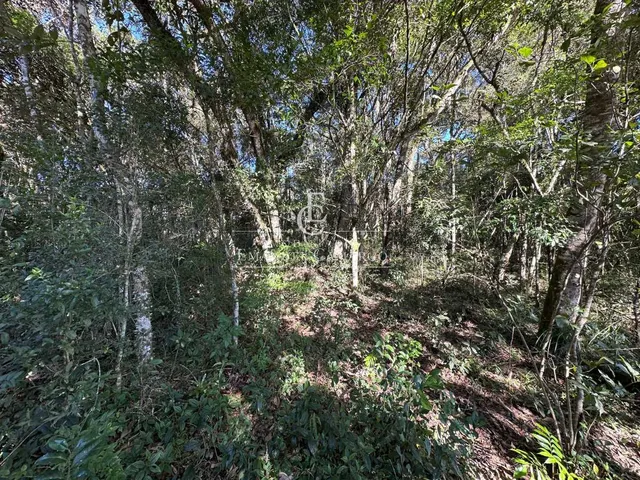 Imagem 6: Área à venda em Piraquara, Vila Fuck, 3076m²