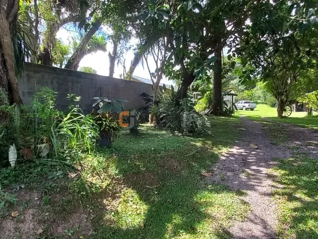 Imagem 10: CHACARA RESIDENCIAL em CAMPO LARGO - PR, ÁGUAS CLARAS