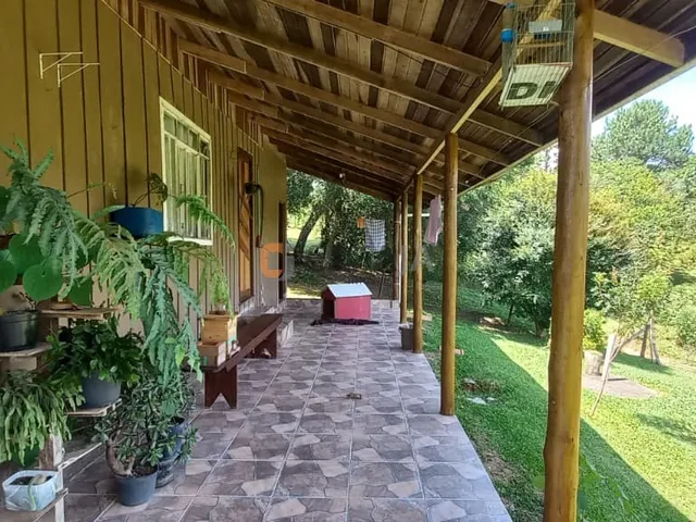 Imagem 8: CHACARA RESIDENCIAL em CAMPO LARGO - PR, ÁGUAS CLARAS