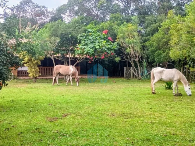 Imagem 5: Belo Sítio com 2 Hectares, a Poucos Minutos da Lagoa e Praia da Barra de Ibiraquera