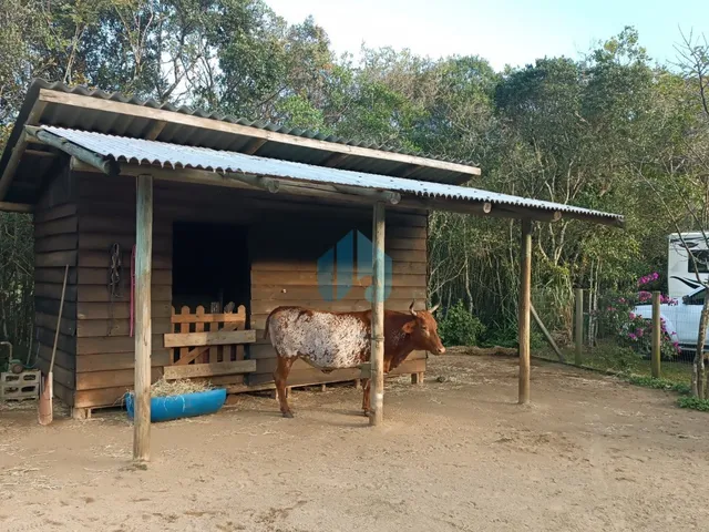 Imagem 13: Belo Sítio com 2 Hectares, a Poucos Minutos da Lagoa e Praia da Barra de Ibiraquera