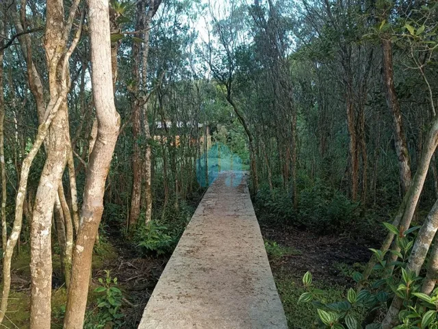 Imagem 16: Belo Sítio com 2 Hectares, a Poucos Minutos da Lagoa e Praia da Barra de Ibiraquera