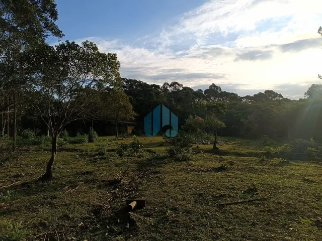 Imagem 8: Belo Sítio com 2 Hectares, a Poucos Minutos da Lagoa e Praia da Barra de Ibiraquera