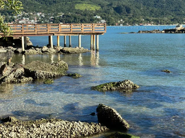 Imagem 13: Casa de Frente Para o Mar - Praia da Enseada de Brito em Palhoça/SC