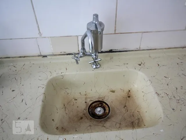 Imagem 6: Apartamento à Venda - Vila Prudente, 2 Quartos, 47 m2