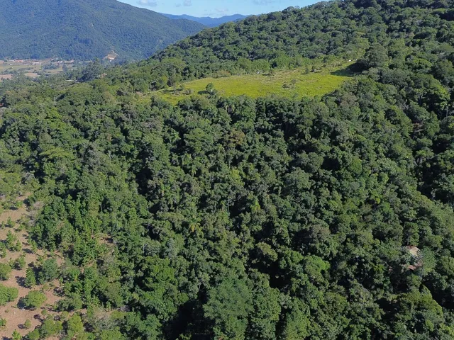 Imagem 7: Terreno em Garopaba
