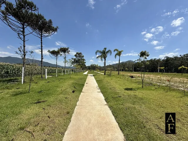 Imagem 8: Terreno em Garopaba no Loteamento Campo Duna