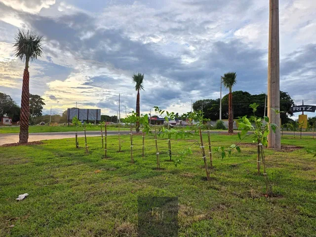Imagem 15: Terreno Lote em Uruguai, Teresina/PI