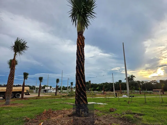 Imagem 3: Terreno Lote em Uruguai, Teresina/PI