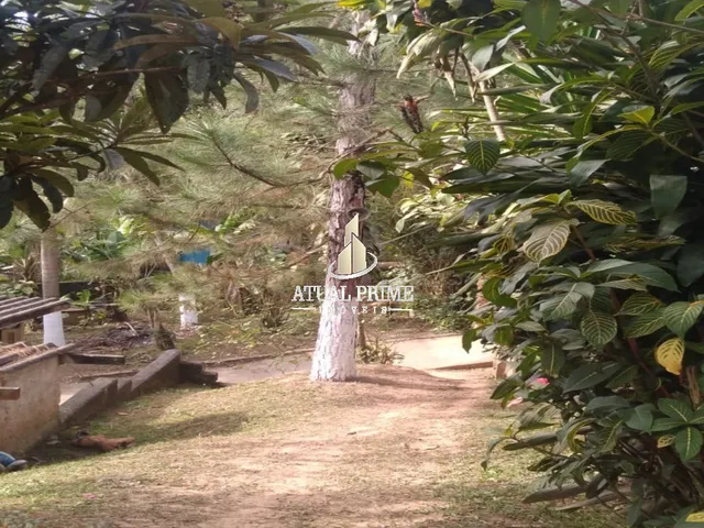 Imagem 4: TERRENO RURAL em SUZANO - SP, PARQUE CEREJEIRAS