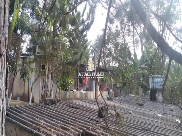 Imagem 6: TERRENO RURAL em SUZANO - SP, PARQUE CEREJEIRAS