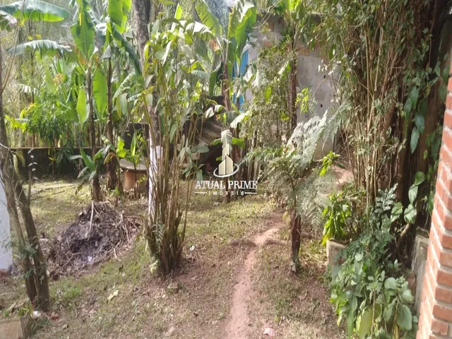 Imagem 5: TERRENO RURAL em SUZANO - SP, PARQUE CEREJEIRAS