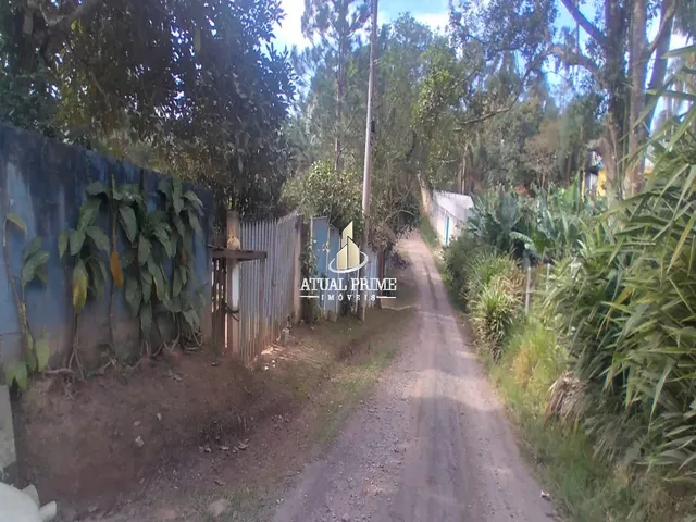 Imagem 11: TERRENO RURAL em SUZANO - SP, PARQUE CEREJEIRAS