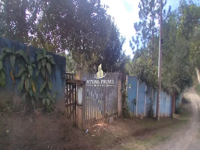 Imagem 9: TERRENO RURAL em SUZANO - SP, PARQUE CEREJEIRAS