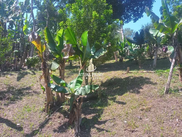 Imagem 2: Chacara Residencial em São Bernardo do Campo - Sp, Tatetos