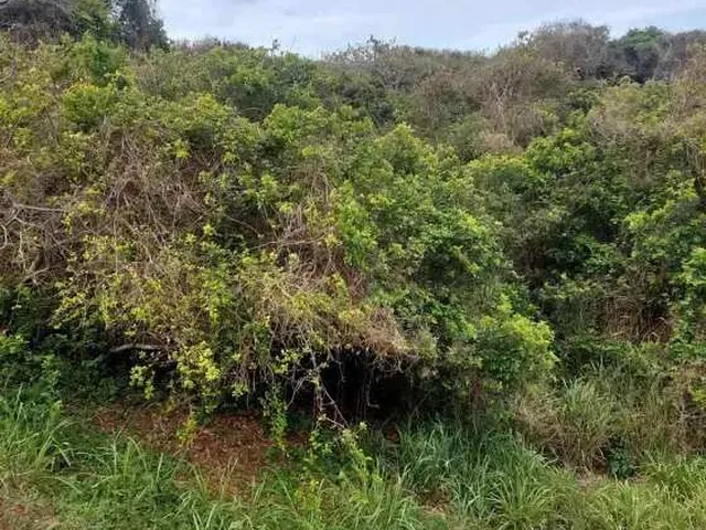 Imagem 3: Terreno à venda em Armação dos Búzios, Praia Brava, 1800m²