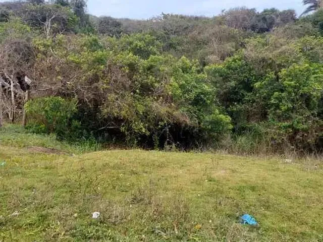 Imagem 11: Terreno à venda em Armação dos Búzios, Praia Brava, 1800m²