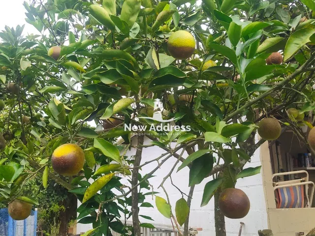 Imagem 8: Rancho à venda em Santa Mônica - Guarapari/ES