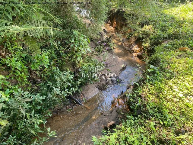 Imagem 9: CHACARA EM TOLEDO MG 1.025 METROS A 10KM DO CENTRO TANQUE PEIXES CORREGO