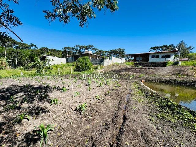 Imagem 10: CHACARA EM TOLEDO MG 1.025 METROS A 10KM DO CENTRO TANQUE PEIXES CORREGO