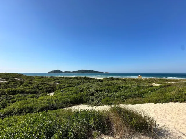 Imagem 13: Apartamento em Campeche, Florianópolis/SC