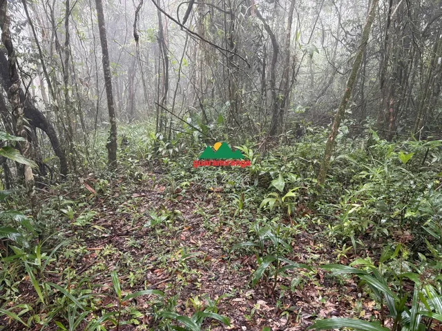 Imagem 8: Glebas que somam uma área total de 9.270,94m², com projeto arquitetônico, próxim