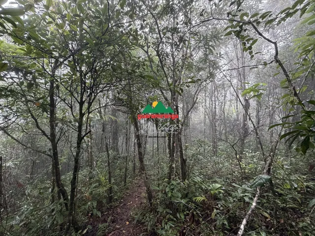 Imagem 7: Glebas que somam uma área total de 9.270,94m², com projeto arquitetônico, próxim