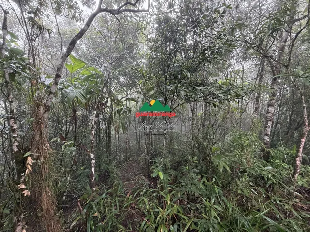 Imagem 11: Glebas que somam uma área total de 9.270,94m², com projeto arquitetônico, próxim