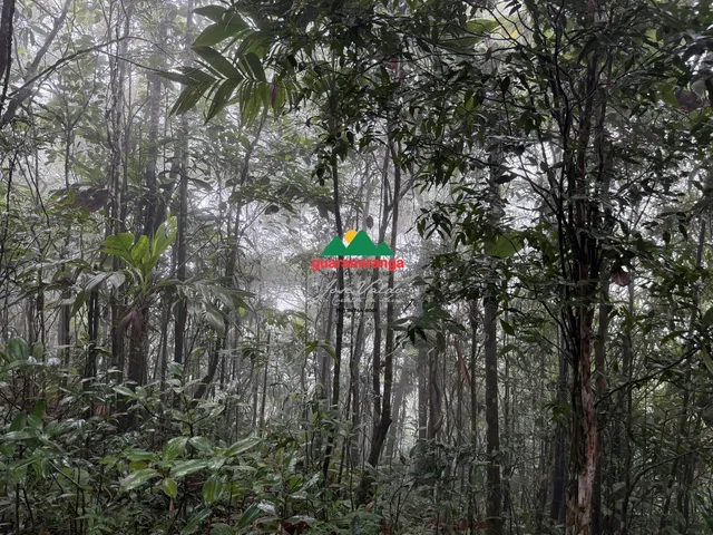 Imagem 9: Glebas que somam uma área total de 9.270,94m², com projeto arquitetônico, próxim