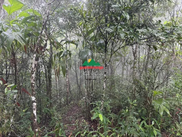 Imagem 6: Glebas que somam uma área total de 9.270,94m², com projeto arquitetônico, próxim