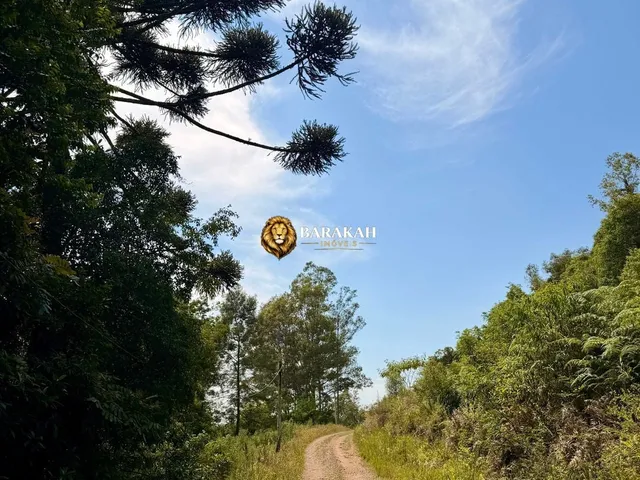 Imagem 4: Chácara à venda em Caxias do Sul/RS